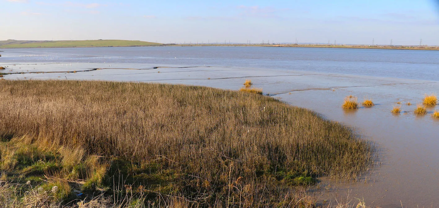 Darent Valley Confluences to Gravesend