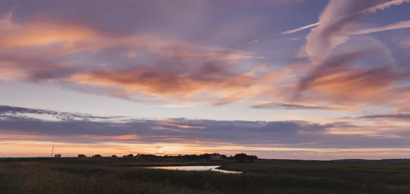Elmley Nature Reserve