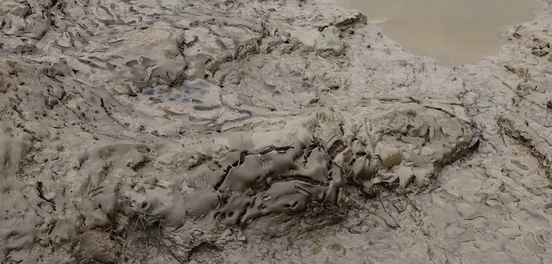 HYDRACITY 2021