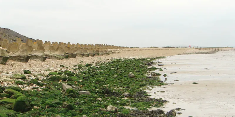 IMPEKA presents Confluence #2: Estuary