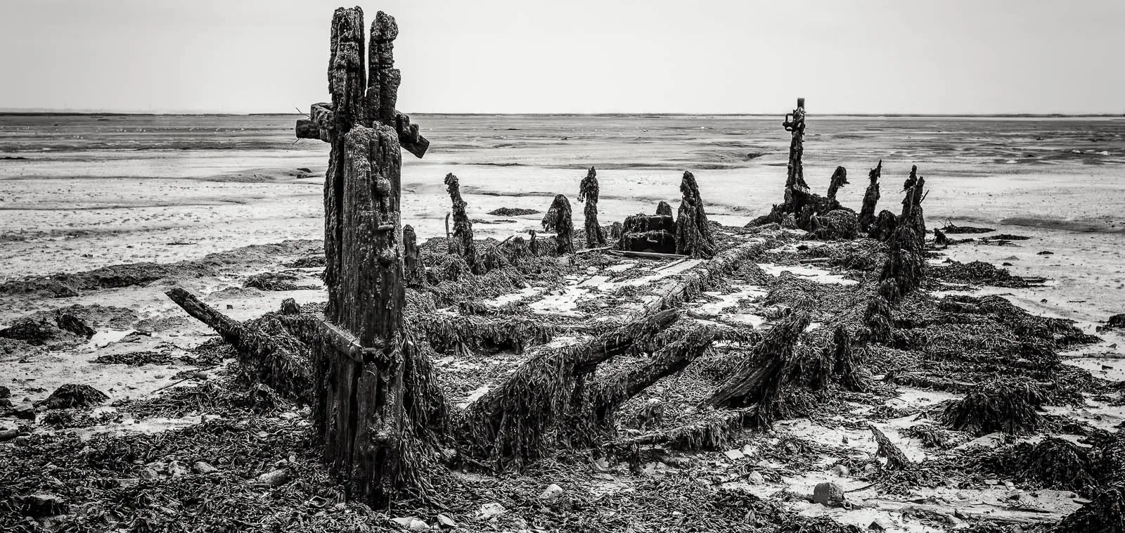 Lower Halstow - Landscape Photography Workshop