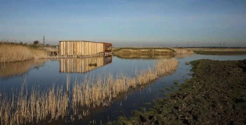 Rainham RSPB