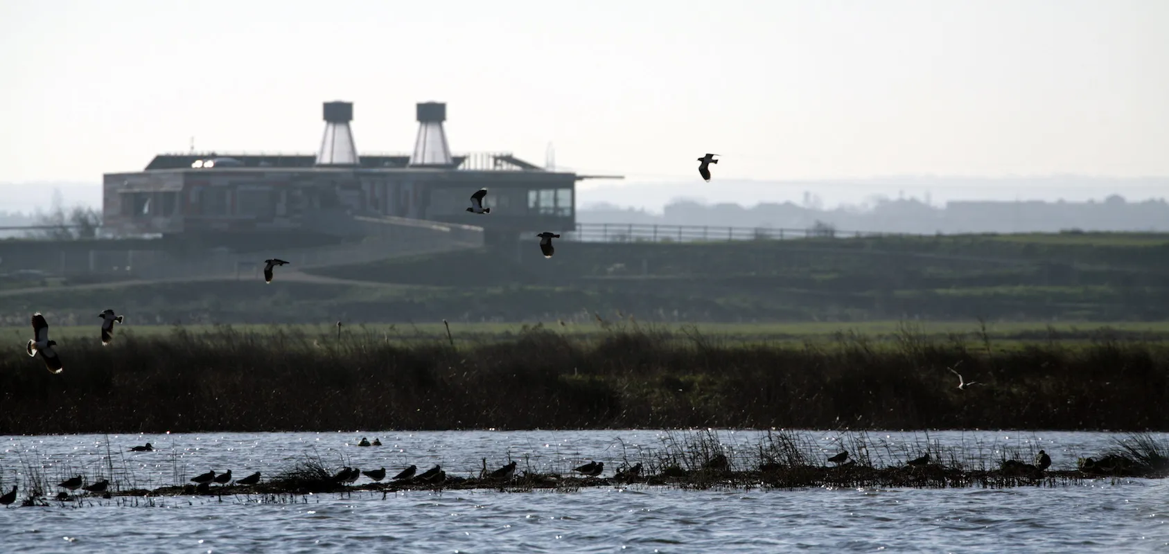 RSPB Rainham Marshes Nature Reserve