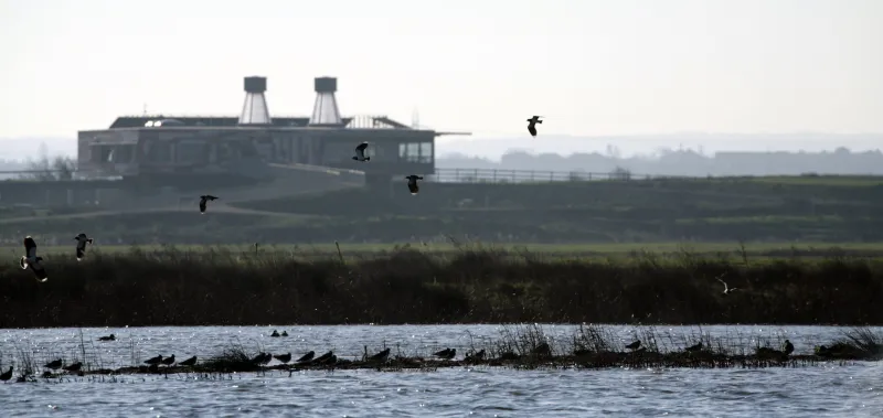 RSPB Rainham Marshes Nature Reserve