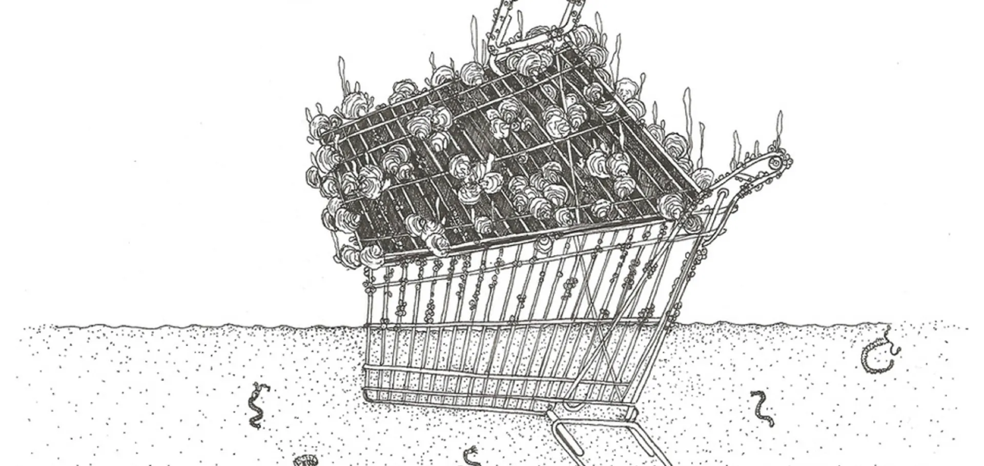 Trolley Reef