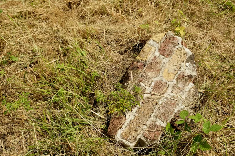 The Great Canvey Island Chimney Disaster