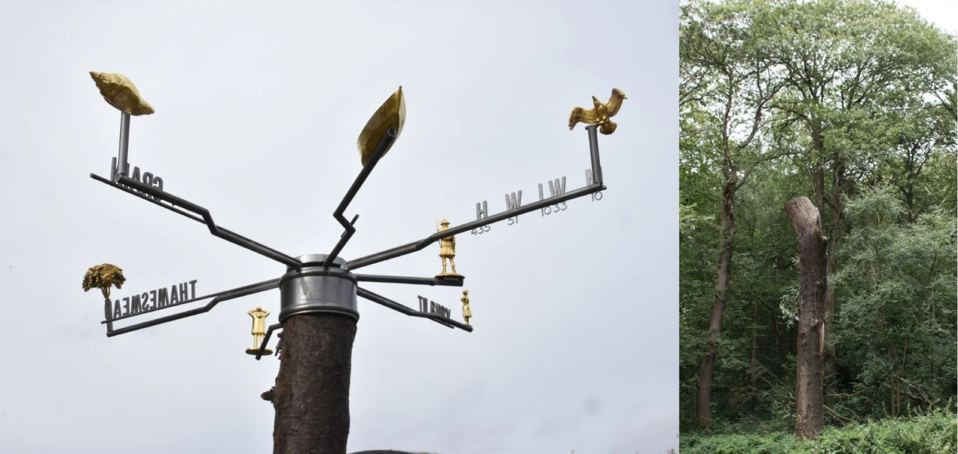 DATA TREE: Call for ideas