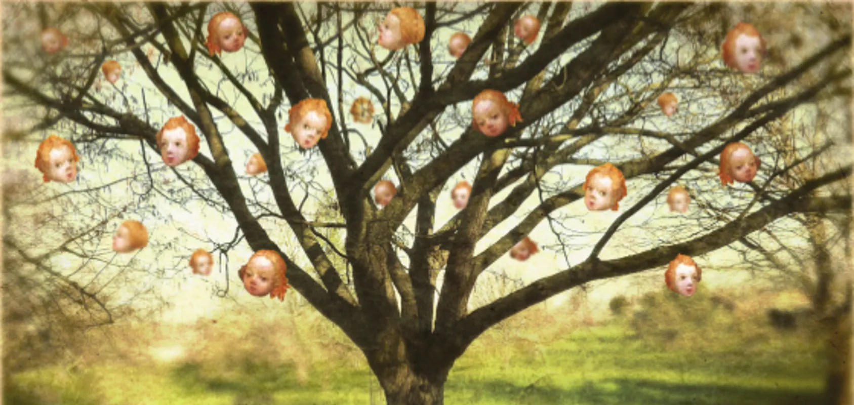 Name a tree after someone important to you